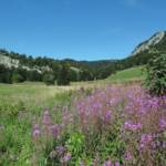 Herbouilly-Vercors-DSC07663