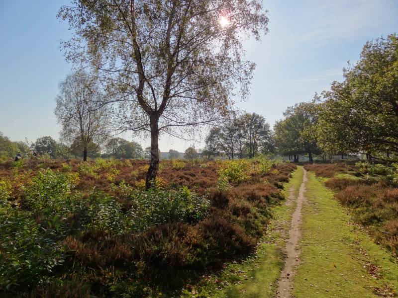 Laren Zuiderheide
