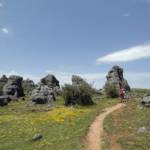 Sentier-Nimes-le-Vieux-DSC05508